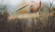 http的幂等性和如何设计高质量 RESTful API