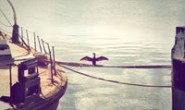 为docker下的php安装php-redis扩展